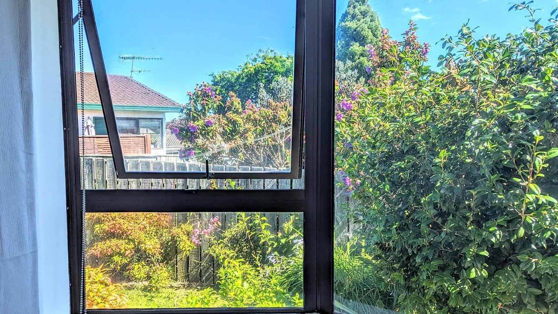 Available Now! Family Home Near Redwood Forest Rotorua 0*,